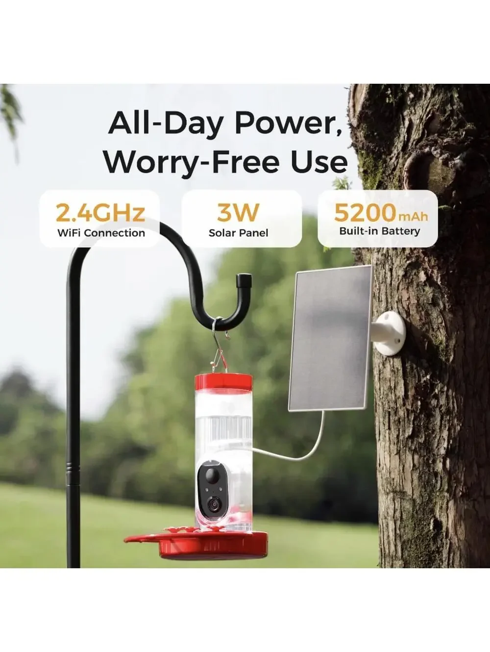 TT Nature Smart Hummingbird Feeder with Camera, Solar Powered, AI Bird ID
